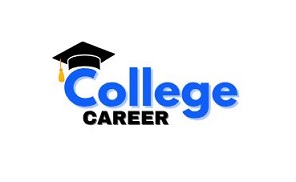 Website development company in Lucknow Delhi Hyderabad India